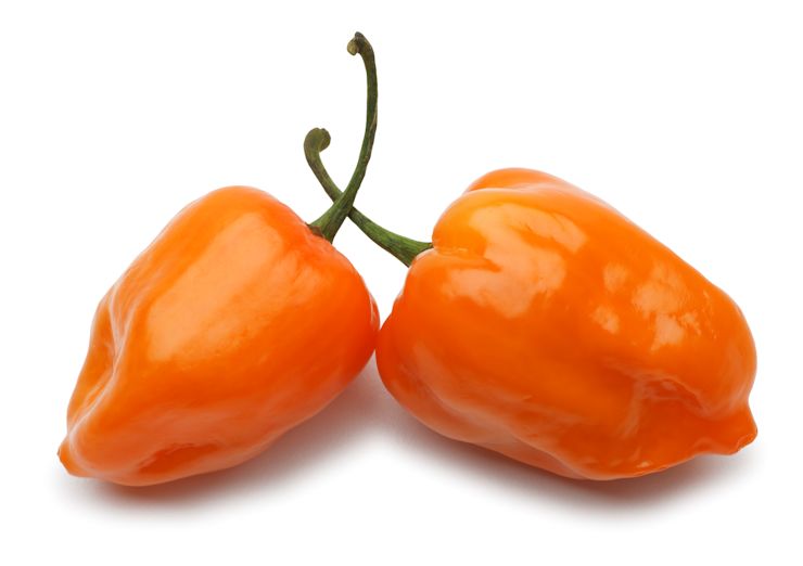 habanero