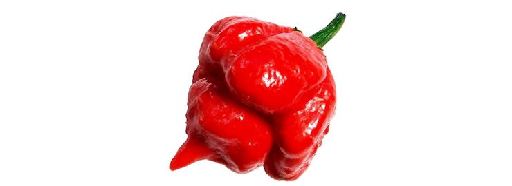 moruga