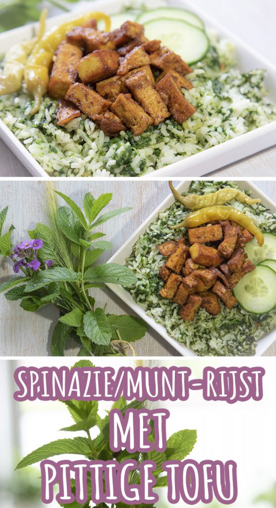 Vegan veganistisch Antilliaans recept voor tofu, pittig gekruid